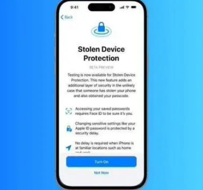 东区街道苹果授权维修店分享被盗设备保护功能开启方法 
