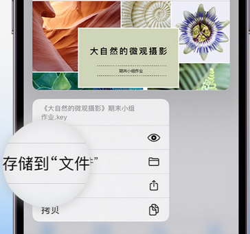 东区街道apple维修中心分享iPhone文件应用中存储和找到下载文件