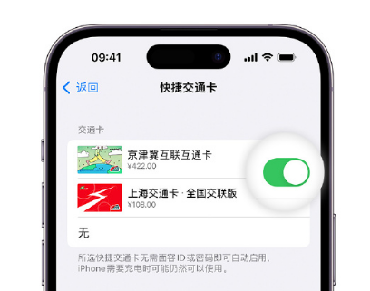 东区街道apple维修点分享iPhone上更换Apple Pay快捷交通卡手绘卡面 