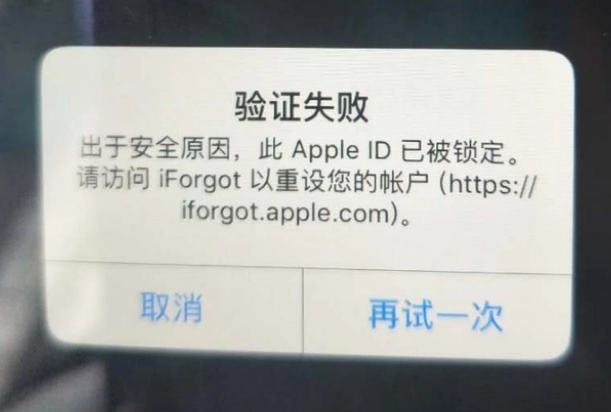 东区街道iPhone维修分享iPhone上正常登录或使用AppleID怎么办 