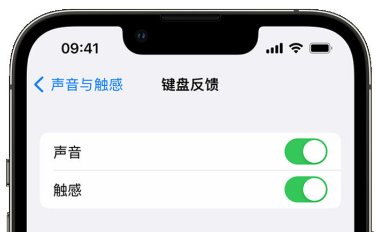 东区街道苹果手机维修分享iPhone 14触感键盘使用方法 