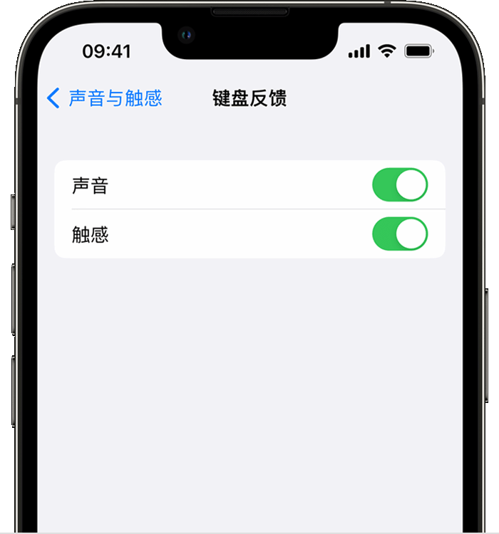 东区街道苹果14维修店分享如何在 iPhone 14 机型中使用触感键盘 