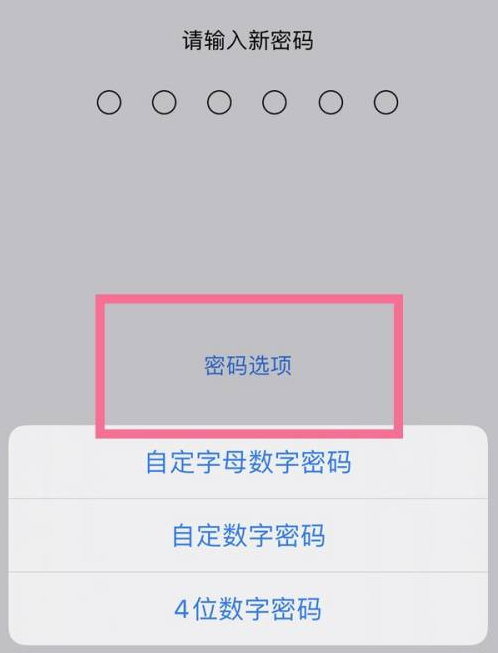 东区街道苹果14维修分享iPhone 14plus设置密码的方法 